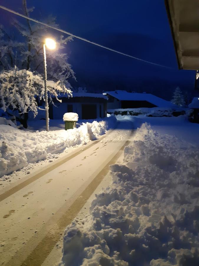 شقة Alpska Roza كْرانْيِسكا غورا المظهر الخارجي الصورة