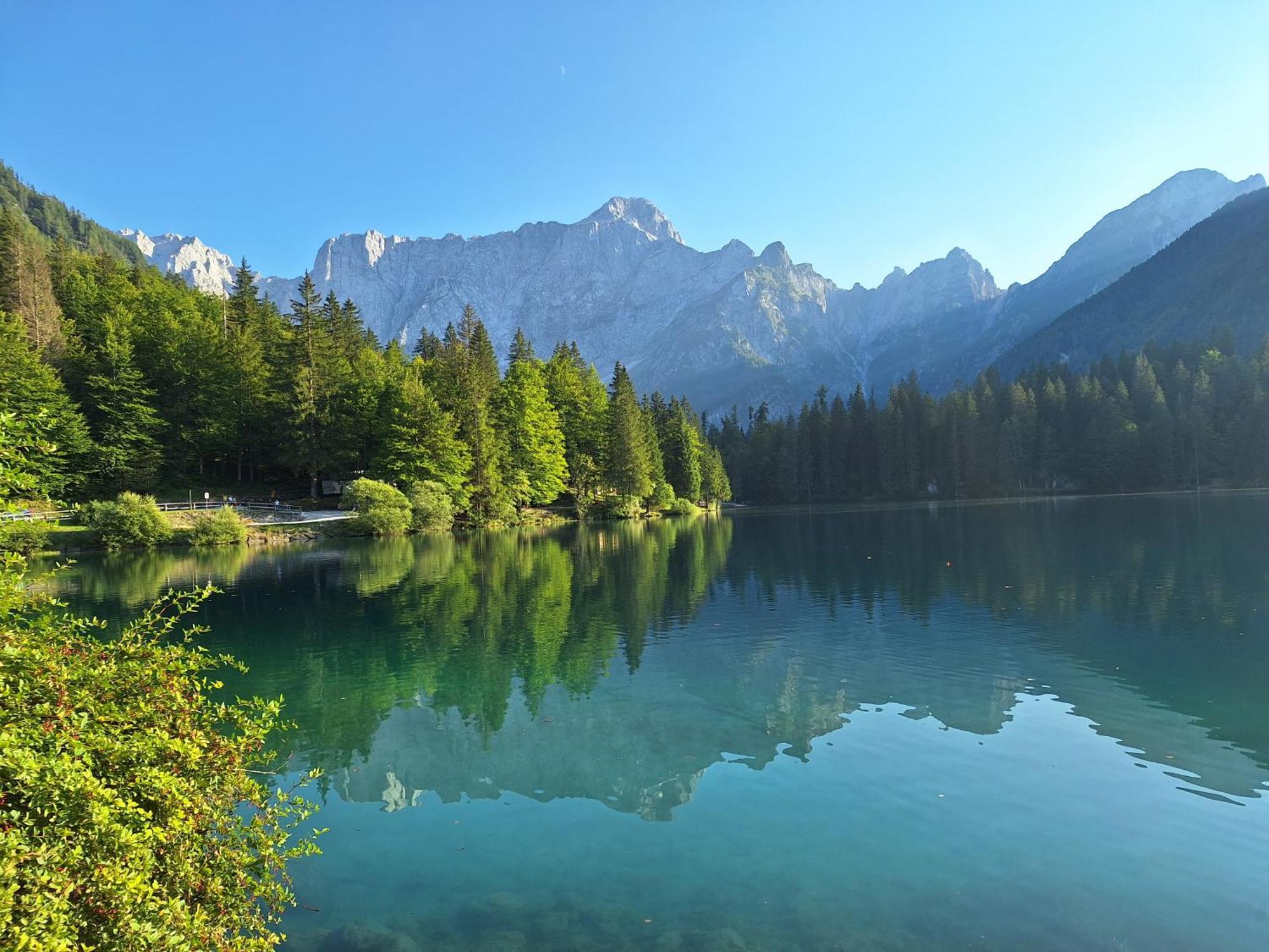 شقة Alpska Roza كْرانْيِسكا غورا المظهر الخارجي الصورة