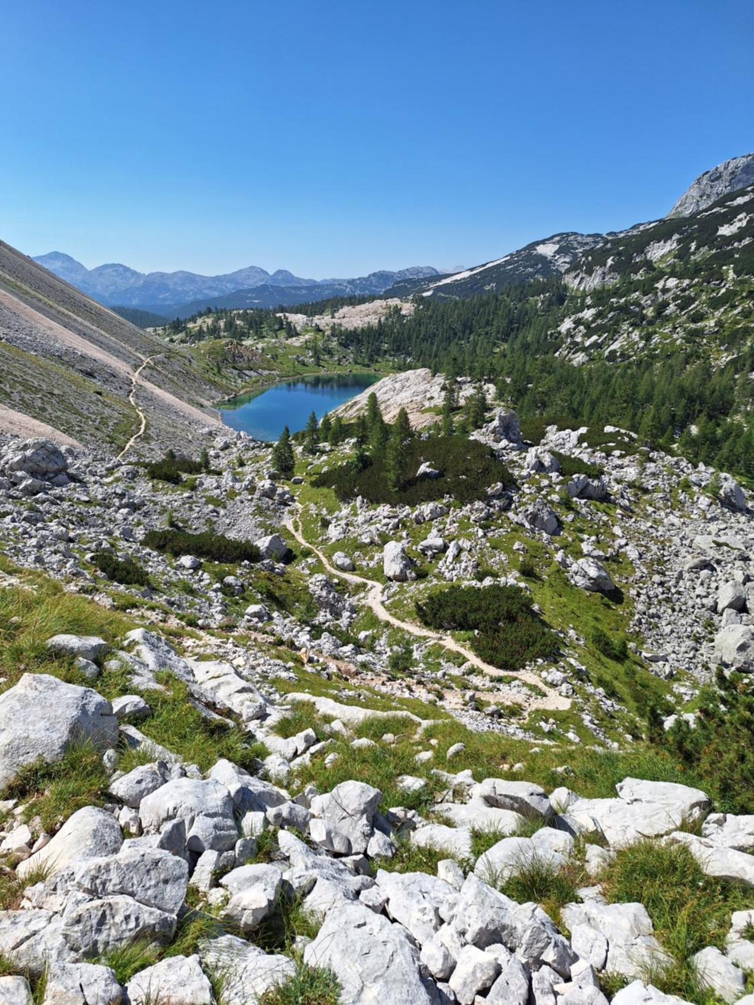 شقة Alpska Roza كْرانْيِسكا غورا المظهر الخارجي الصورة
